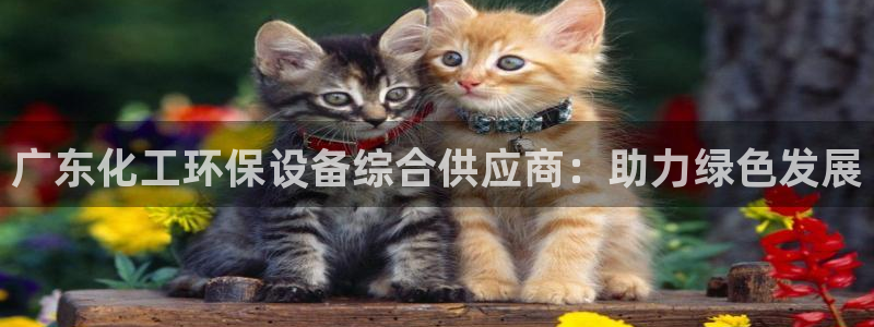 亿万先生 手机版下载最新版：广东化工环保设备综合供应商：助力绿色发展