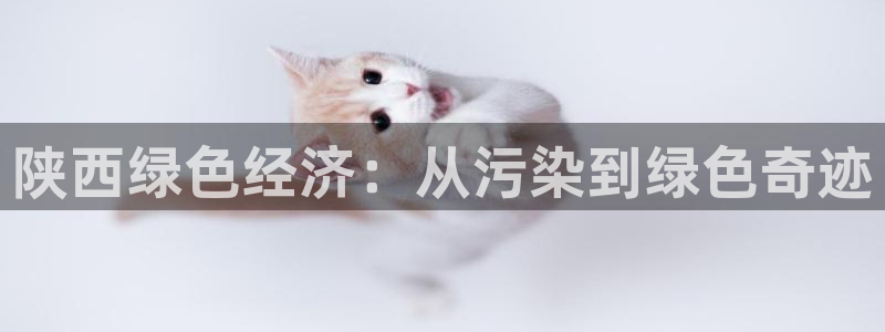 亿万先生客服联系方式：陕西绿色经济：从污染到绿色奇迹