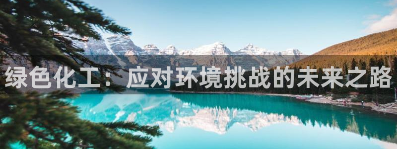 亿万先生情侣车有什么用：绿色化工：应对环境挑战的未来之路