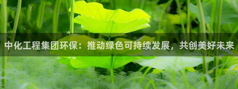 亿万先生官方网站客户端下载安装：中化工程集团环保：推动绿色可持续发展，共创美好未来