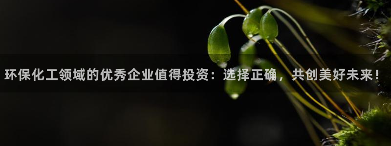 mr8001亿万先生在线存款：环保化工领域的优秀企业值得投资：选择正确，共创美好未来！
