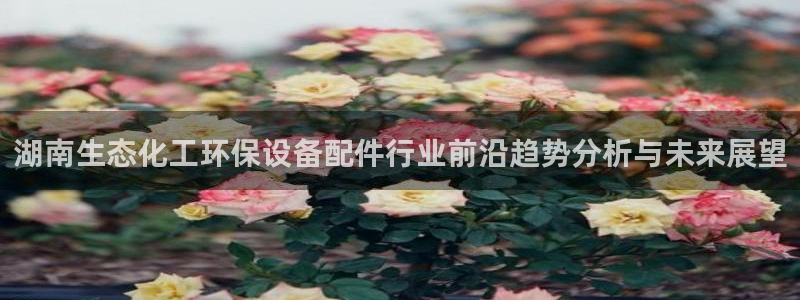 亿万先生 手机版下载安装：湖南生态化工环保设备配件行业前沿趋势分析与未来展望
