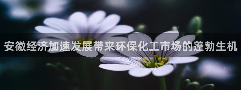 mr8001亿万先生在线存款：安徽经济加速发展带来环保化工市场的蓬勃生机