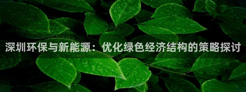 亿万网友在线解答：深圳环保与新能源：优化绿色经济结构的策略探讨