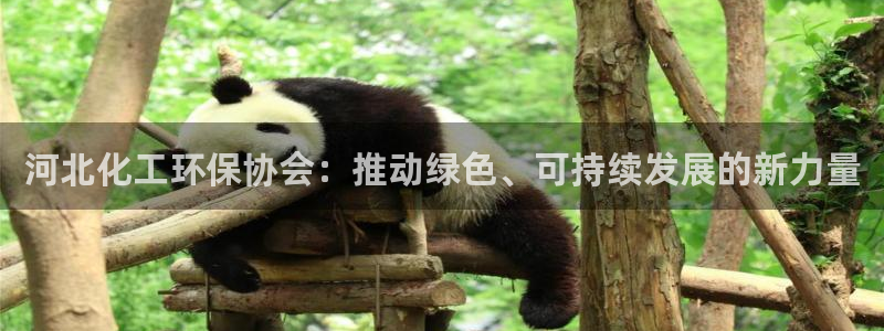 mr001亿万先生：河北化工环保协会：推动绿色、可持续发展的新力量