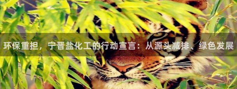 亿万先生游戏：环保重担，宁晋盐化工的行动宣言：从源头减排、绿色发展