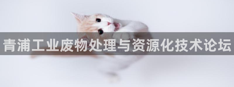 亿万先生合并：青浦工业废物处理与资源化技术论坛
