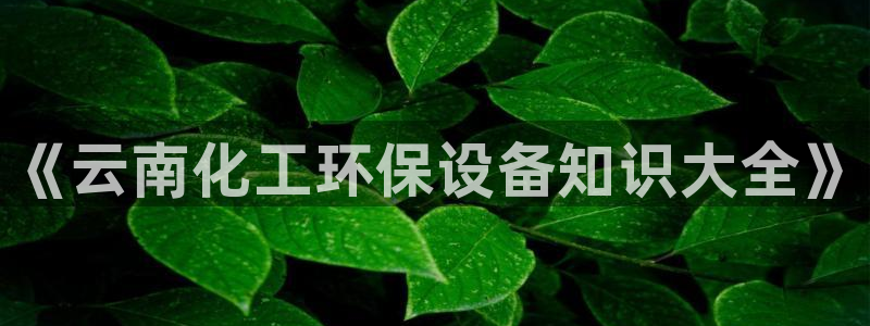电影 亿万：《云南化工环保设备知识大全》
