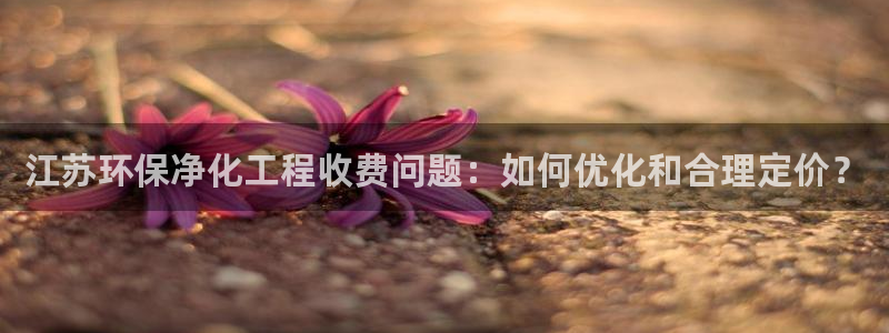 亿万先生官方网站客户端下载安装最新版：江苏环保净化工程收费问题：如何优化和合理定价？