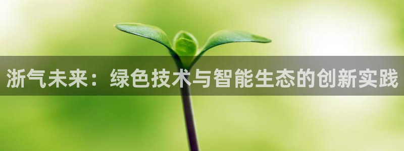 亿万国际游戏官网手机版