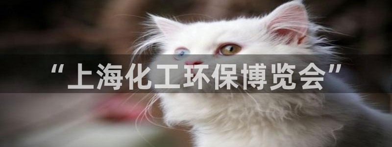 亿万手游平台官网入口：“上海化工环保博览会”