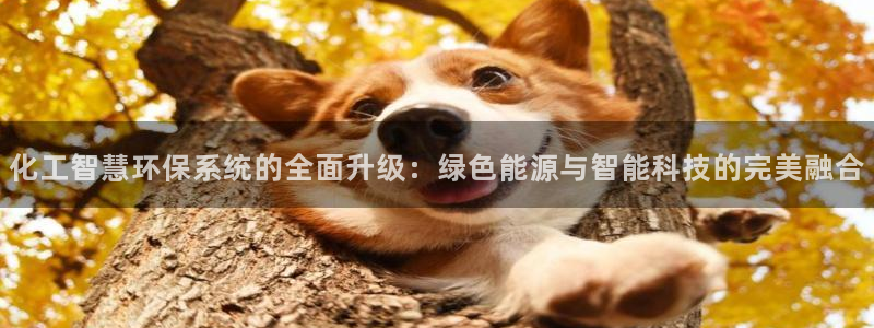 亿万网友在线实时为您解答问题