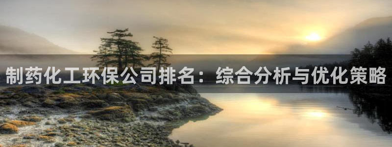 亿万钱包app下载：制药化工环保公司排名：综合分析与优化策略