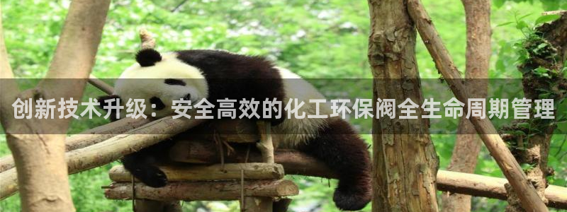 亿万先生合并网址是多少