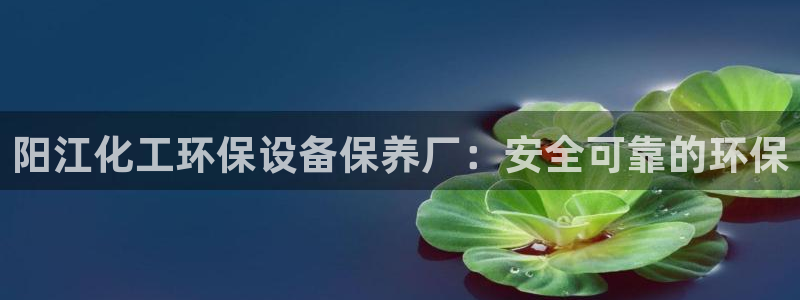亿万先生手游下载：阳江化工环保设备保养厂：安全可靠的环保