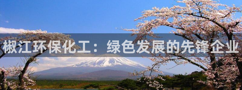 亿万官网手机登录：椒江环保化工：绿色发展的先锋企业