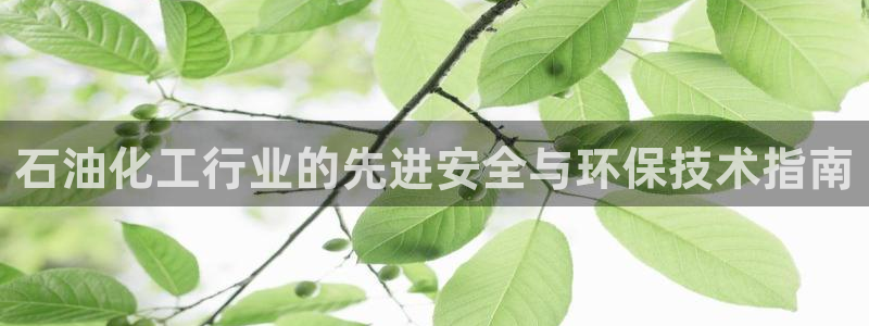 亿万乐购生活超市：石油化工行业的先进安全与环保技术指南