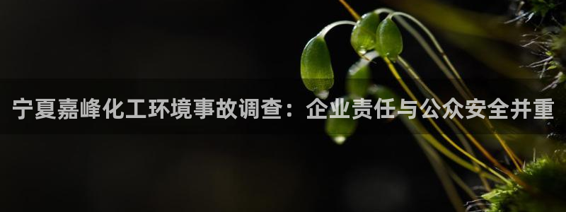 亿万先生手机版：宁夏嘉峰化工环境事故调查：企业责任与公众安全并重