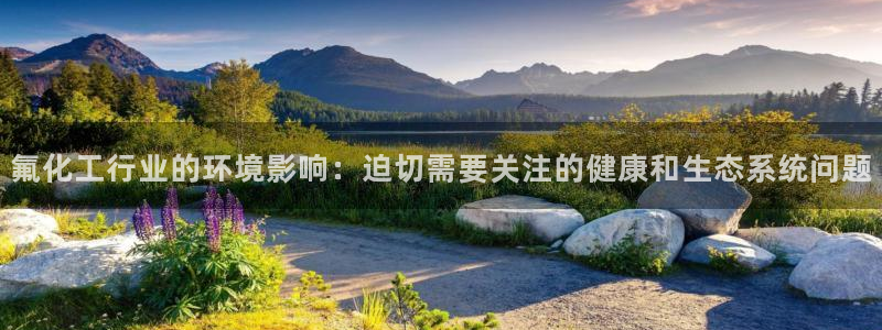 亿万国际合法吗：氟化工行业的环境影响：迫切需要关注的健康和生态系统问题