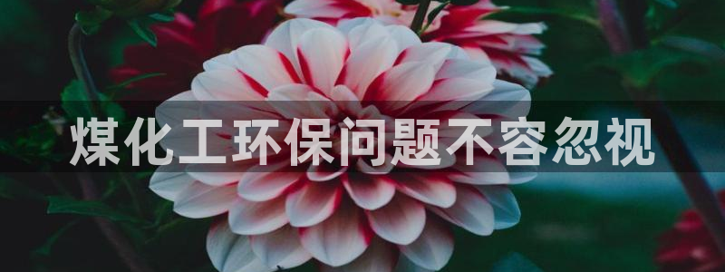 亿万首富游戏破解版无限钻石：煤化工环保问题不容忽视