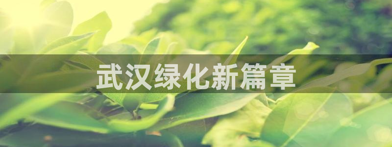 亿万百度吧：武汉绿化新篇章