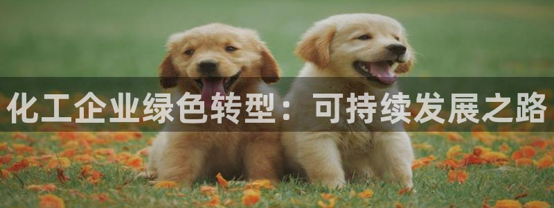 亿万国际app：化工企业绿色转型：可持续发展之路