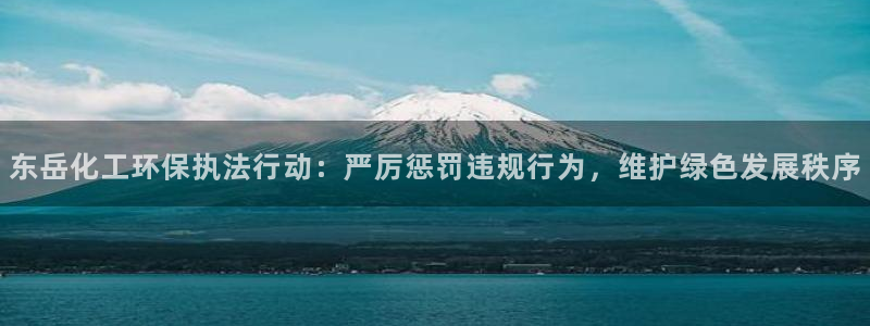 亿万集团有限公司：东岳化工环保执法行动：严厉惩罚违规行为，维护绿色发展秩序