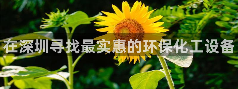 亿万先生mr网址：在深圳寻找最实惠的环保化工设备