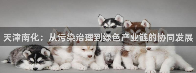 亿万先生mr014：天津南化：从污染治理到绿色产业链的协同发展