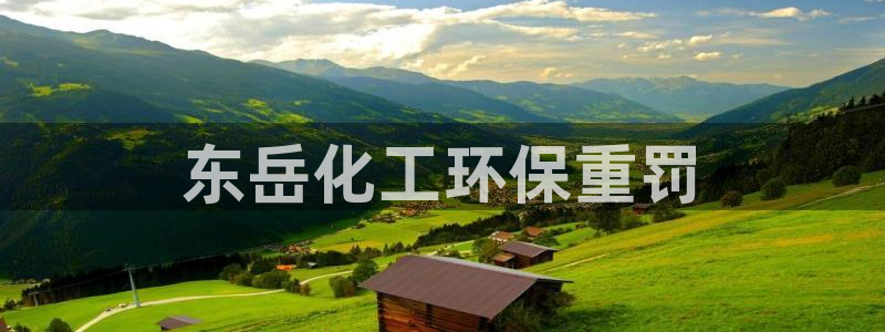 亿万billions：东岳化工环保重罚