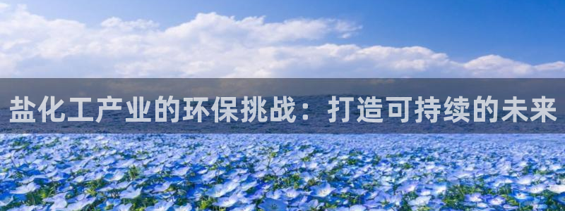 亿万先生客户端官网下载：盐化工产业的环保挑战：打造可持续的未来