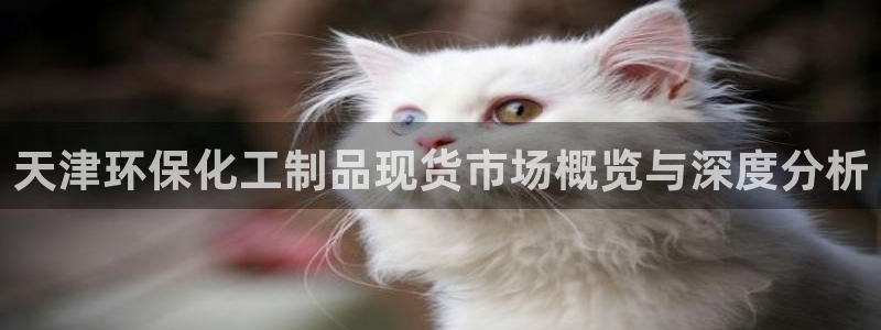 亿万国际游戏官网手机版：天津环保化工制品现货市场概览与深度分析