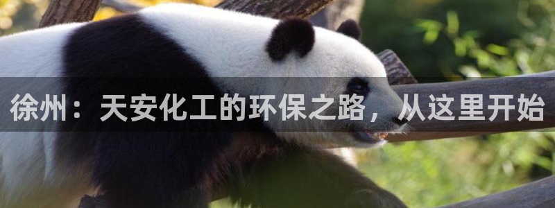 亿万番外：徐州：天安化工的环保之路，从这里开始