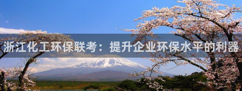 亿万首富手游兑换码：浙江化工环保联考：提升企业环保水平的利器