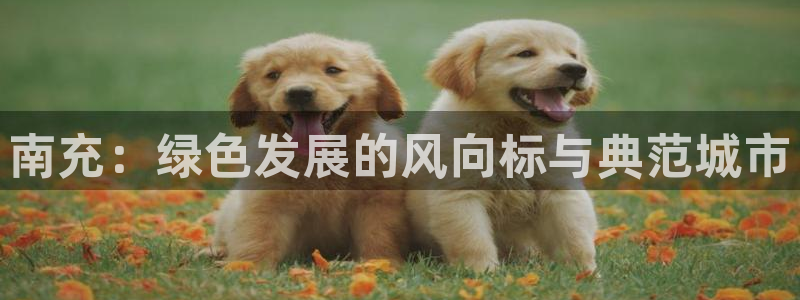 亿万app：南充：绿色发展的风向标与典范城市