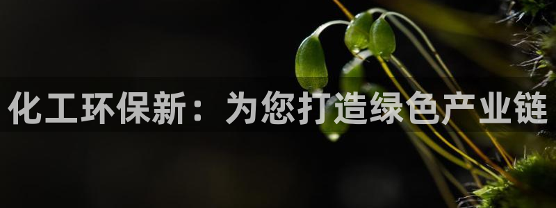 亿万的亿：化工环保新：为您打造绿色产业链