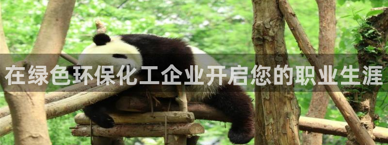 亿万先生007网页登录:在绿色环保化工企业开启您的职业生涯
